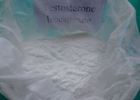 China Polvo crudo sano legal de la testosterona de Isocaproate sin efectos secundarios 15262-86-9 distribuidor 