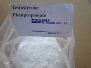 China Polvo esteroide crudo 1255-49-8 de Phenylproprionate de la testosterona de Testolent para el aumento del músculo distribuidor 