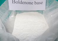 Polvo crudo puro Boldenone CAS compuesto esteroide 846-48-0 del 98% Boldenone para el culturista para la venta