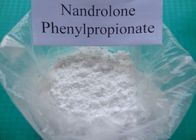 China Polvo esteroide 62-90-8 del Nandrolone del Nandrolone de Phenylpropionate del Nandrolone distribuidor 