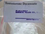 Aumente la densidad del hueso/el grado farmacéutico crudo del polvo el 99% de la testosterona de la fuerza para la venta