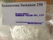 China Testosterona cruda blanca/grisácea Sustanon para las grasas de cuerpo ardientes distribuidor 